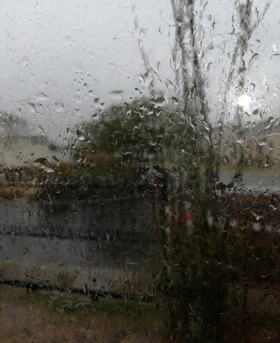 genieg79's tweet photo. Beautiful rain! Garden is doing a happy dance https://t.co/IgYSGLbg6W