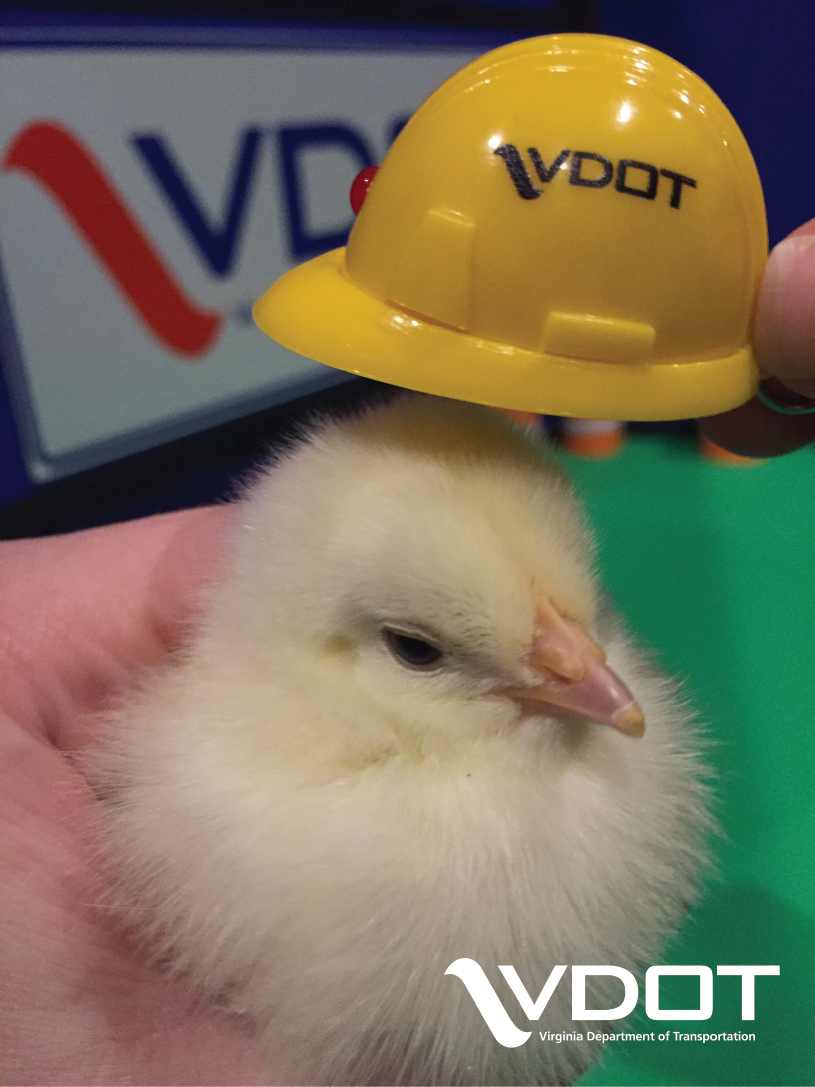 VaDOTRVA's tweet photo. Road problem? Our peeps are on it! Call 1-800-FOR-ROAD. #RVA #VDOT #birdsofVDOT https://t.co/OLyYxqsx6b