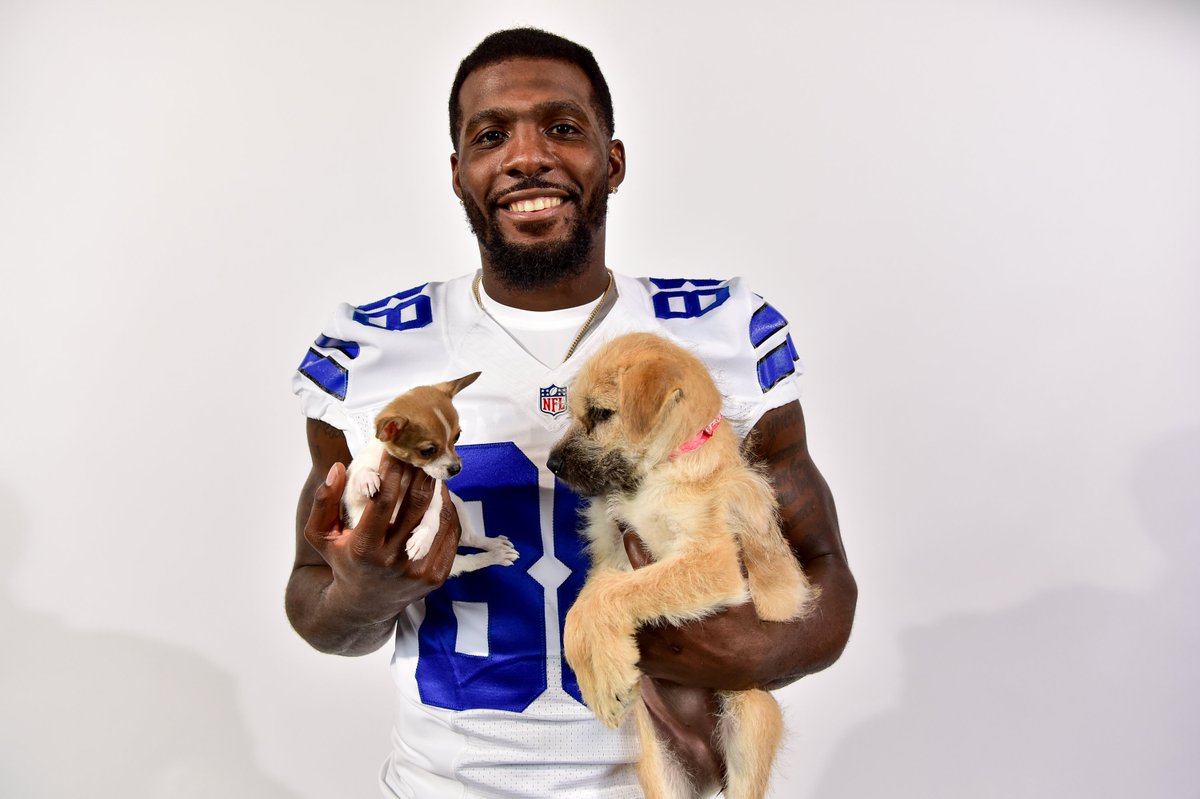 Hard time getting through the dog days of the offseason?

Our #NationalPuppyDay gallery is here to get you through.
bit.ly/2mwAfLO