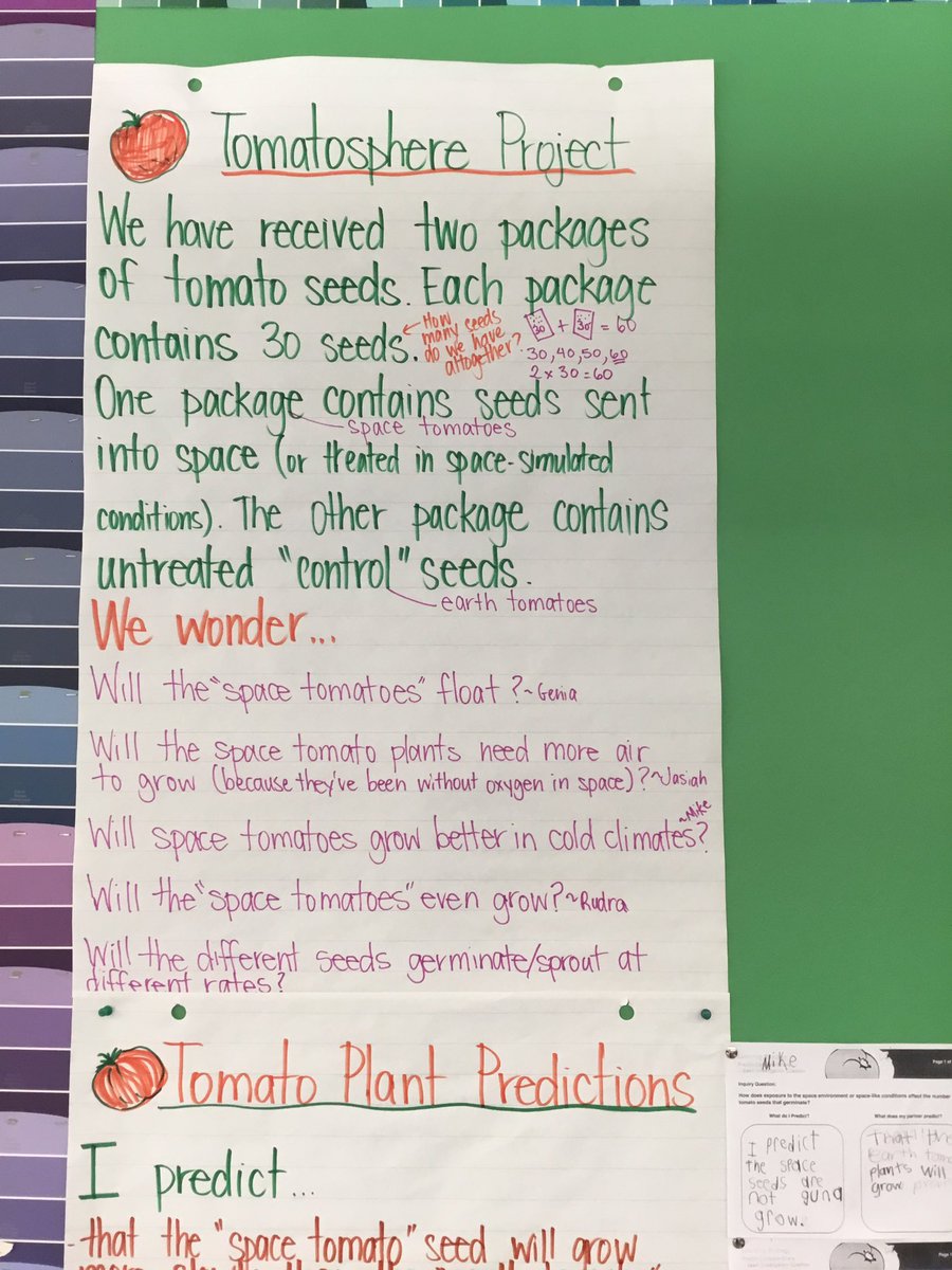 Gracefield_PS's tweet photo. Grade 1s making predictions about the tomato sphere project! @tdsb @TDSB_Gracefield https://t.co/346SljOmed