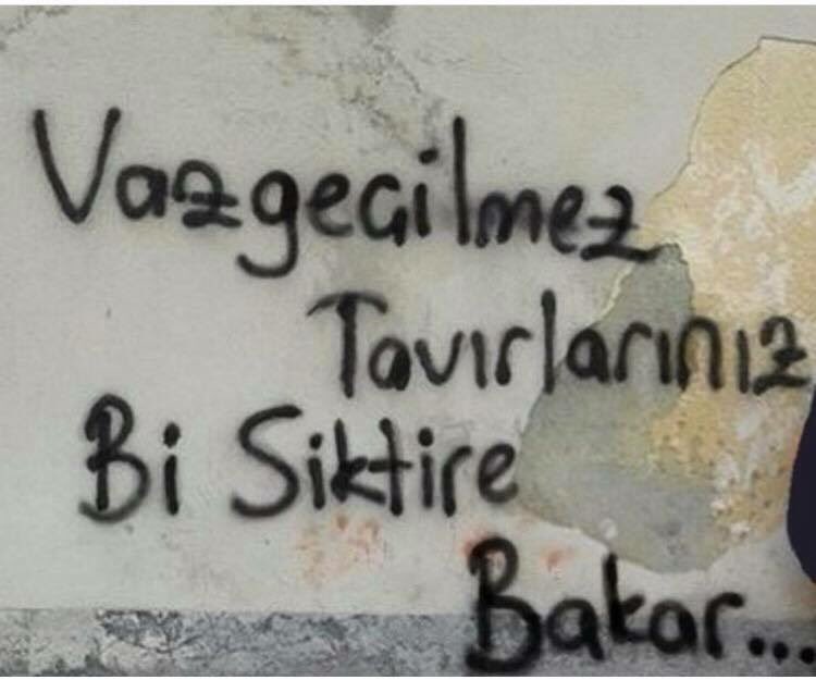 yalinayakk's tweet photo. Vazgeçilmez tavırlarınız bi siktire bakar!

#KüfürSokakta https://t.co/MsqbdRKr8A