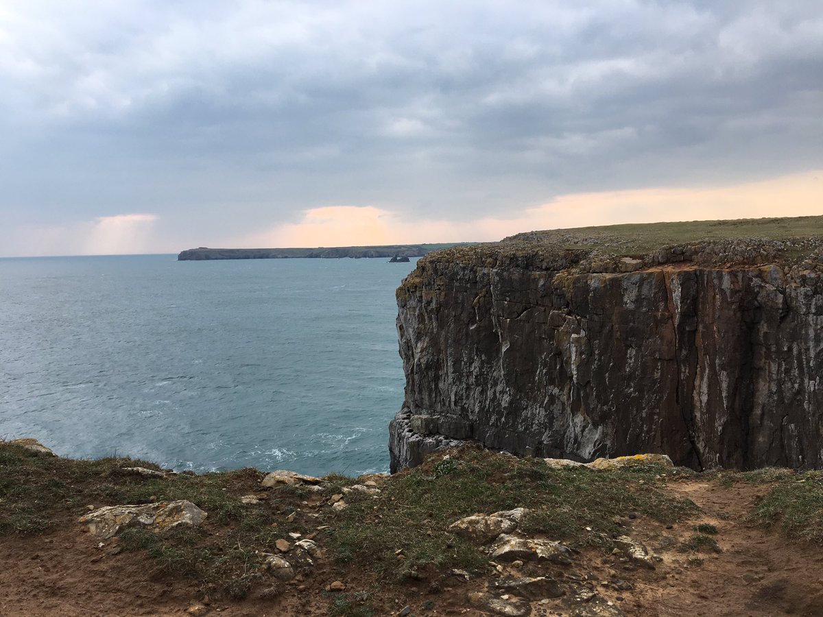 stackpole2017's tweet image. 