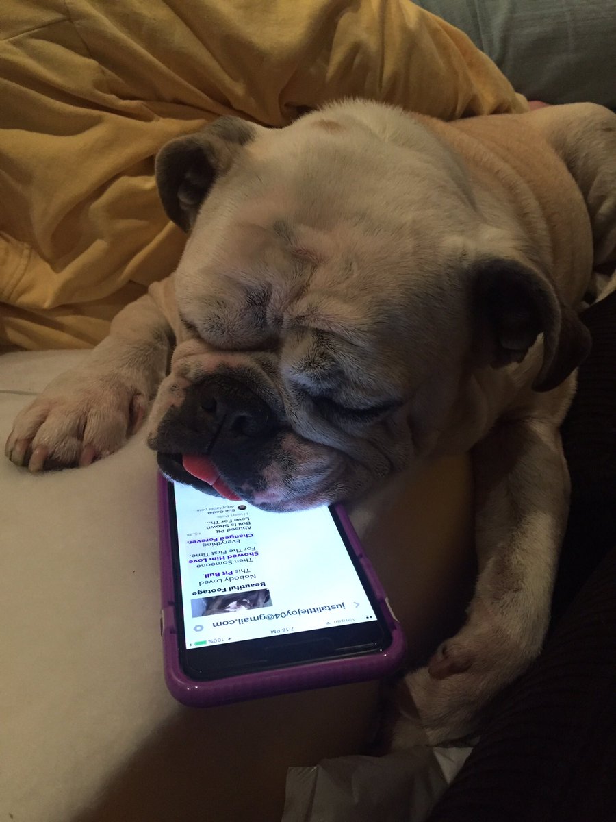 Bonnie passed out trying to keep up on Twitter
