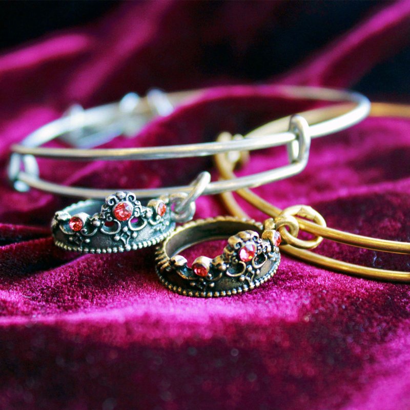 ALEX AND ANI tweet media