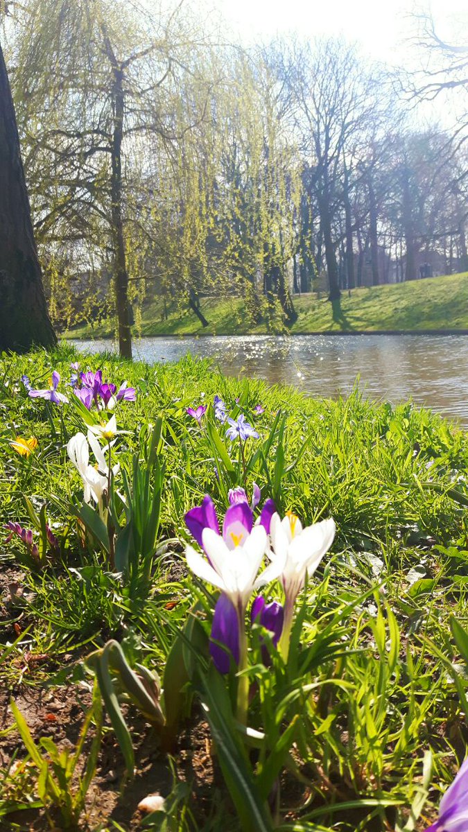 Sloep Huren Utrecht tweet media