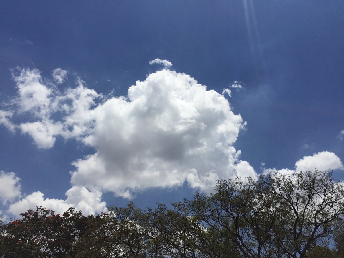 MeteoKenya's tweet photo. Share with us your cloud photos this week #understandingclouds #WorldMetDay #Nairobi https://t.co/Cvbrc7vUh5