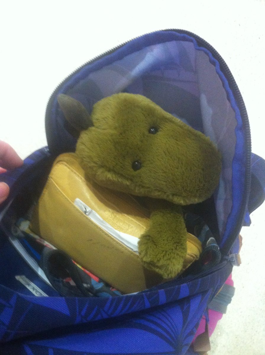 TALK_Merseyside's tweet photo. Ty is a little tired from the first flight #TAW #Tyaroundtheworld #icelandair @icelandair @afteradoption #fundraising #adoption #support https://t.co/W3PNuU5KIH