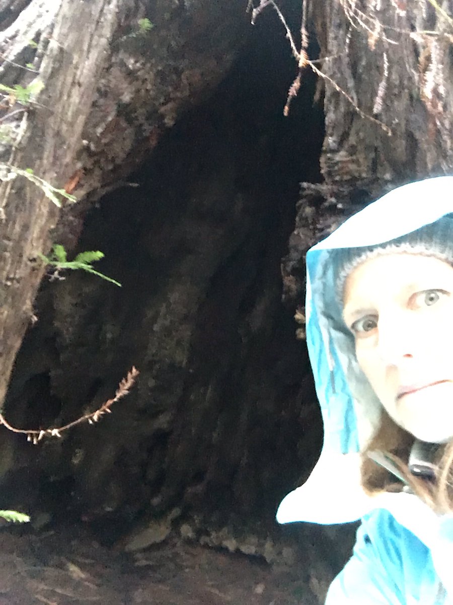 LBochat's tweet image. Not sure I can wait #StrangerThingsSeason2