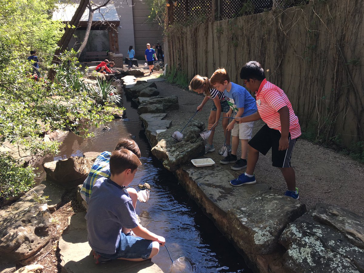 CANWebb1's tweet photo. Studying aquatic life @Elm Fork Education Center@UNT @canSTEM https://t.co/cQJUWJASF6