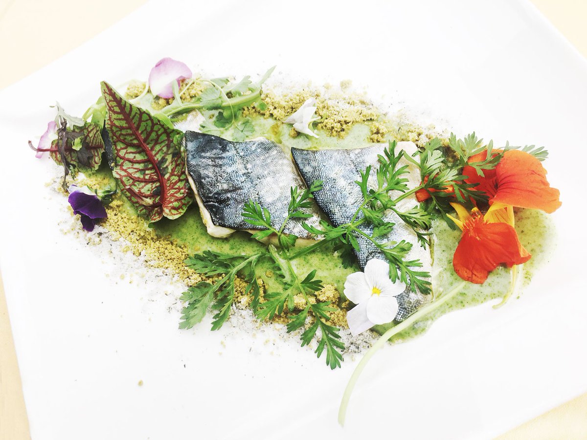 auroramerano's tweet photo. Happy Birthday #Merano - Enjoy our creation to the 700th anniversary. Alpine salmerino with spring herbs, mashed potatoes, dandelion #700xm https://t.co/Gb5kReKxoL