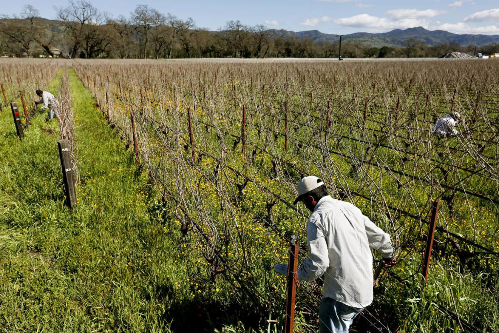 jle_fvhs's tweet photo. Wages Rise for Farming https://t.co/twperkeUYl https://t.co/DfbWPOKdAr