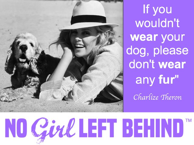 No Girl Left Behind tweet media