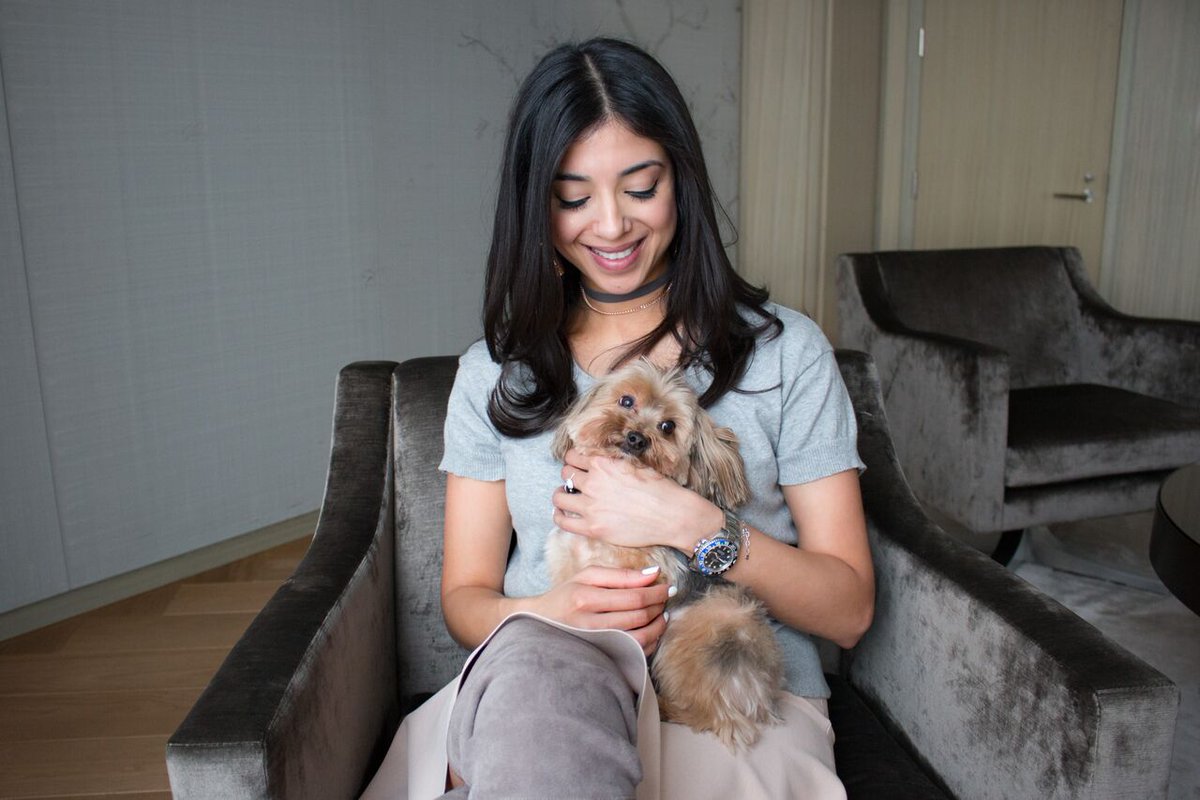 Halo & Co. tweet media