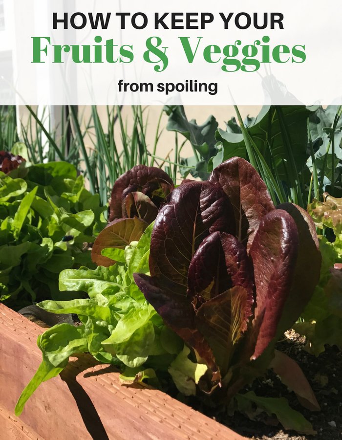 Momtrends's tweet photo. How to make your produce last longer -->> https://t.co/z3JNovnyuG https://t.co/ZbCDTuQrSN