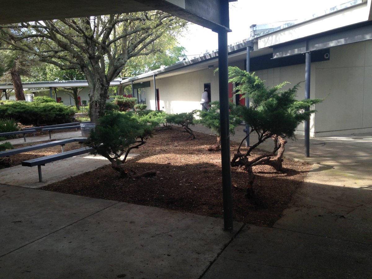 Terryr57's tweet photo. Making progress @ FHS https://t.co/wuTGvBKgwV