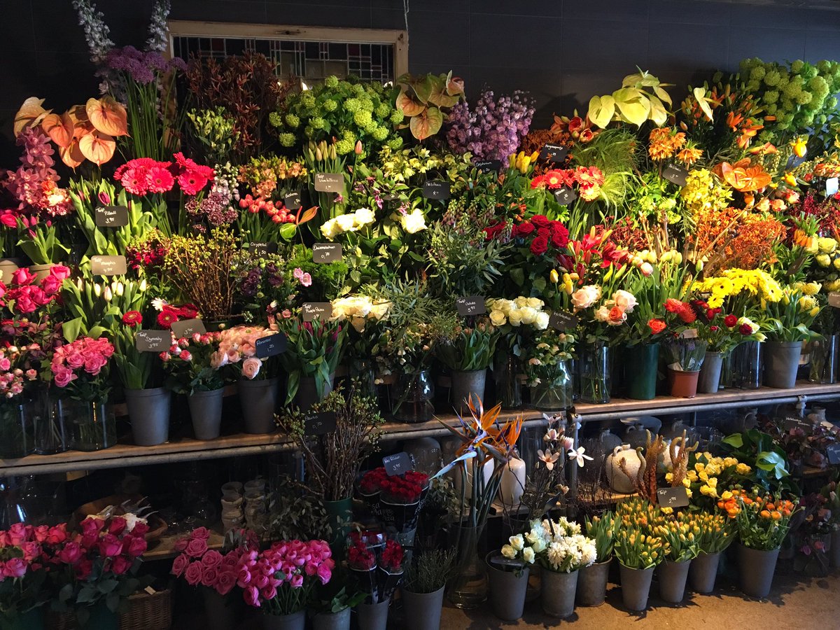 Vandaag op bezoek geweest bij <a href="/DeVakbloemist/">De Vakbloemist</a> #ambassadeurs met producten van <a href="/GreenplantsVDE/">VDE plant</a> <a href="/KarinvanderEijk/">Karin van der Eijk</a> <a href="/RolandDuyv/">Holland Strelitzia 👍</a> <a href="/fioreanthuriums/">Fiore Anthuriums</a>