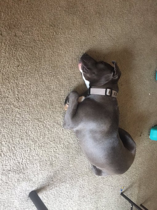 Guess what she got into. https://t.co/d5YFRHpmMc<a href="/tag/femdom"class="tags"><span>#femdom</span></a><a href="/tag/pussy"class="tags"><span>#pussy</span></a><a href="/tag/sub"class="tags"><span>#sub</span></a>