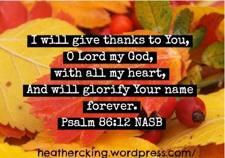 Praise the Lord....
