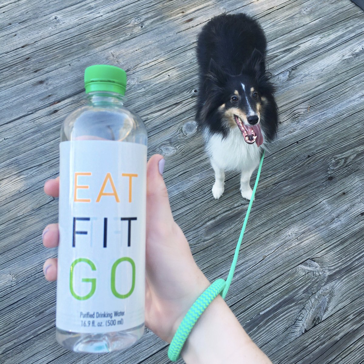 EatFitGo's tweet photo. Happy National Puppy Day! Share pics of your #EFGpup 🐶💕 #nationalpuppyday https://t.co/3mxi121OQx