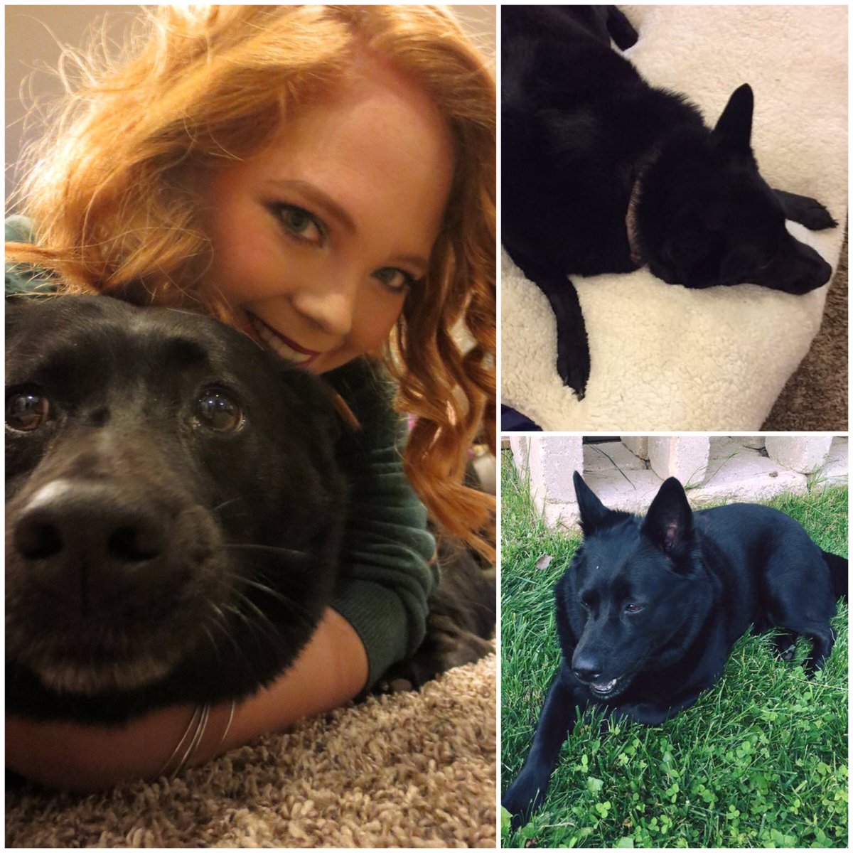 Happy #NationalPuppyDay to my favorite pup 🐶 may dognap her from my parents someday 😂 #loveher