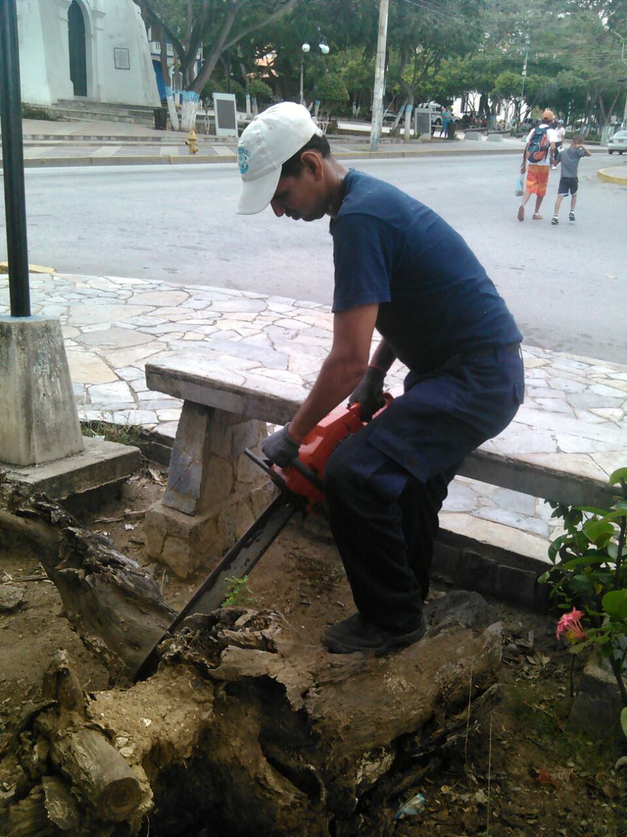 AlcaldiaManeiro's tweet photo. Hoy realizamos con @spmaneiro poda y saneamiento en Plaza de Los Leones de Pampatar. Seguimos recuperando espacios ¡Ayúdanos a mantenerlos! https://t.co/Aq5ADgCCxH