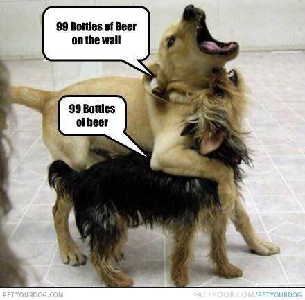 #NationalPuppyDay #beer