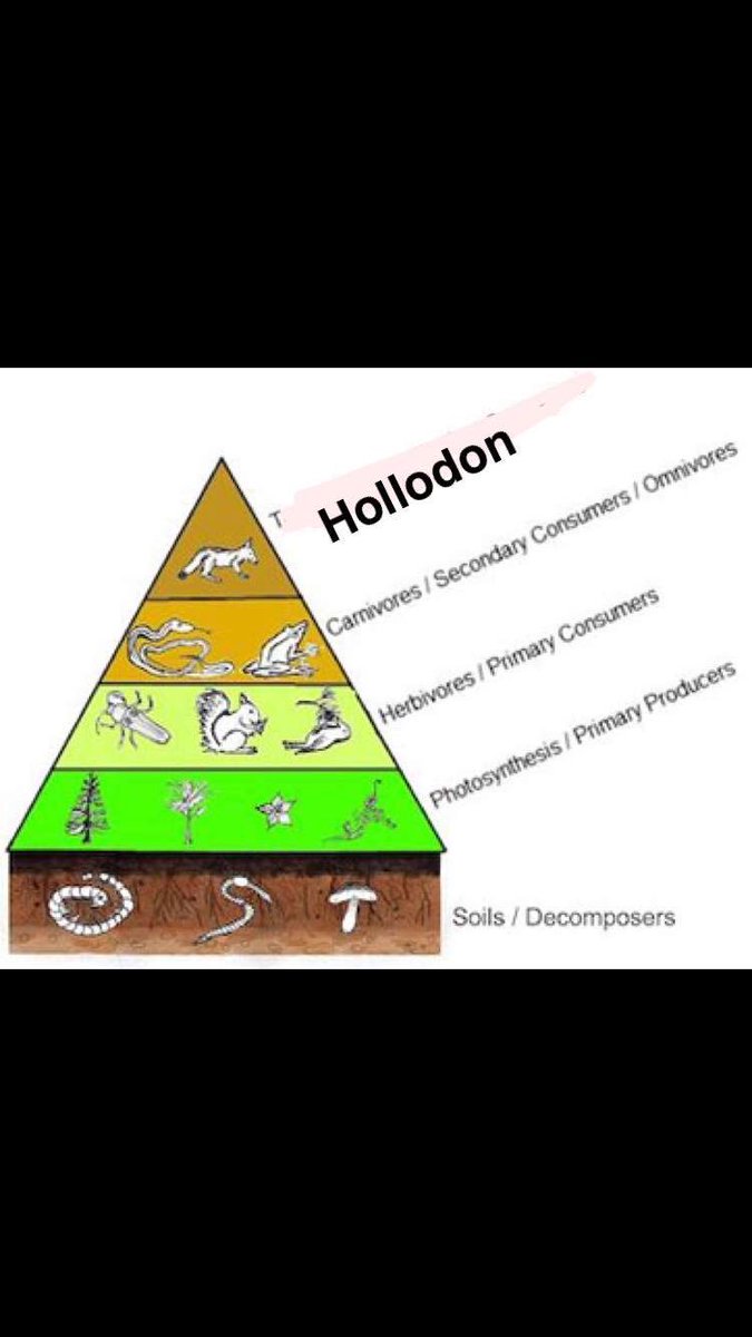 Will (@willholloway24) on Twitter photo 