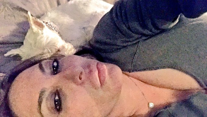 #schnauzers #clubsavannahjane #juicylips #dogsoftwitter #dog https://t.co/vwG3RUmHcr<a href="/tag/schnauzers"class="tags">#schnauzers</a><a href="/tag/clubsavannahjane"class="tags">#clubsavannahjane</a><a href="/tag/juicylips"class="tags">#juicylips</a><a href="/tag/dogsoftwitter"class="tags">#dogsoftwitter</a><a href="/tag/dog"class="tags"><span>#dog</span></a>