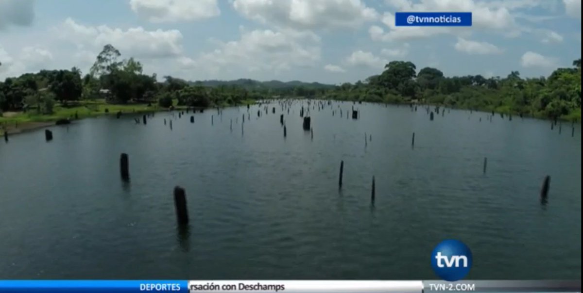 TVN Noticias tweet media