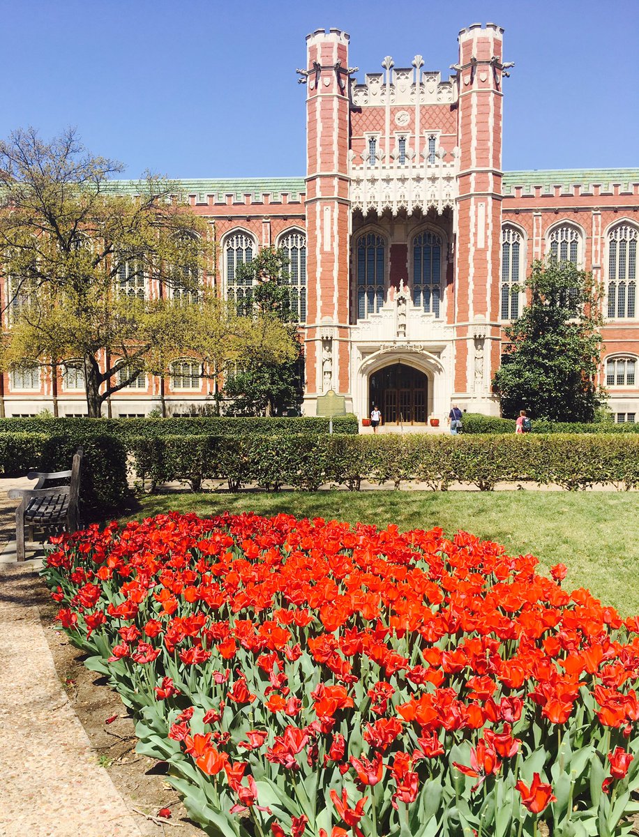 The <a href="/UofOklahoma/">University of Oklahoma</a> is looking beautiful today!! #springtime #boomersooner 🌷☀️