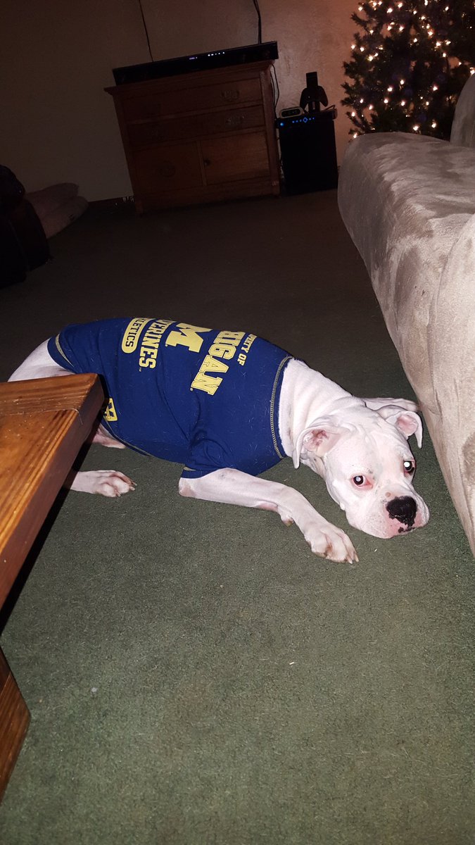 LisaHummer5's tweet image. #UMSocial

Rosco says Let's Go Blue.  Happy National Puppy Day