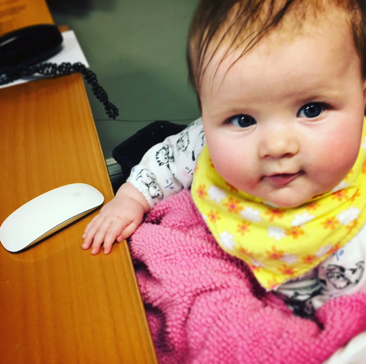 doccreative's tweet image. New boss came in to help out at the office today. #baby #designlegacy