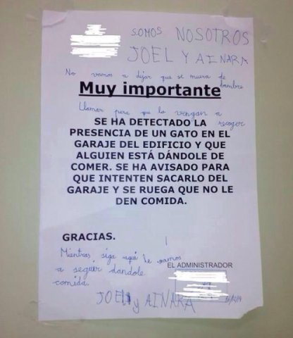 PartidoPACMA's tweet photo. No os perdáis la contestación de Joel y Ainara... pequeños héroes que han entendido el valor de cuidar y respetar a los animales. https://t.co/wehRe0R3FV