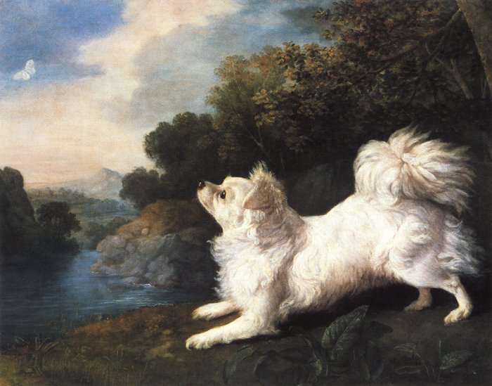 SchuylerMansion's tweet photo. Happy #NationalPuppyDay! This is Richard Cosways papillion. (Richard's wife #MariaCosway was #AngelicaSchuyler's bff) https://t.co/skEJI48Pb2