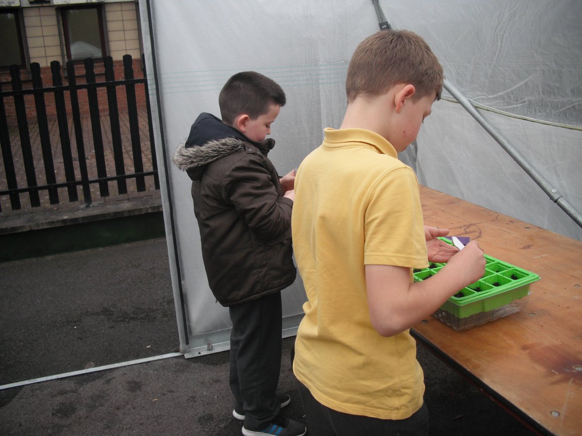 pinehurstgreen1's tweet photo. School Children sowing Seeds at our Allotment. They look after them now until they are ready to be planted outside. https://t.co/obsCBeMtt3