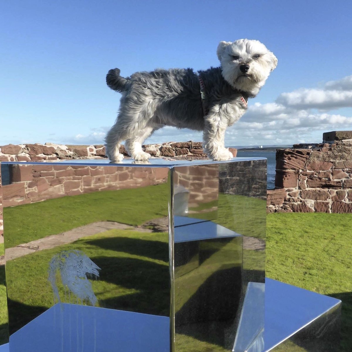 pika_robertson's tweet photo. #Dunbar #harbour work in progress https://t.co/8VA2ECq3tb