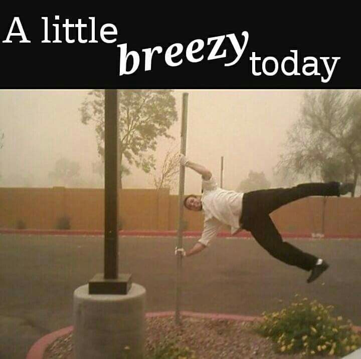 _LE_Electric's tweet photo. #SpringinNewMexico https://t.co/yrXLtKKKzp