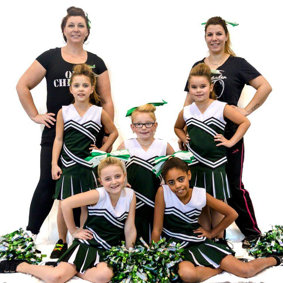 Peewees 2017 010cheerleaders