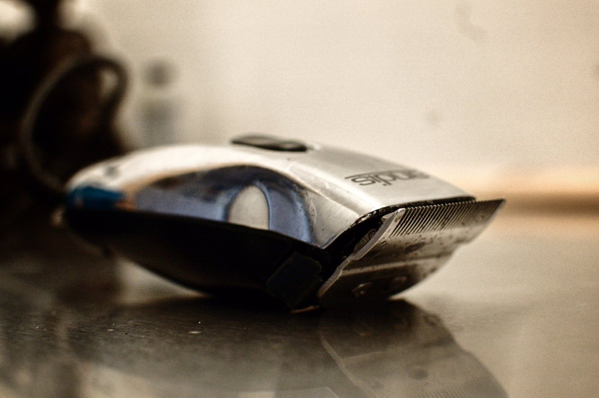 2017 Bear Removal has begun.