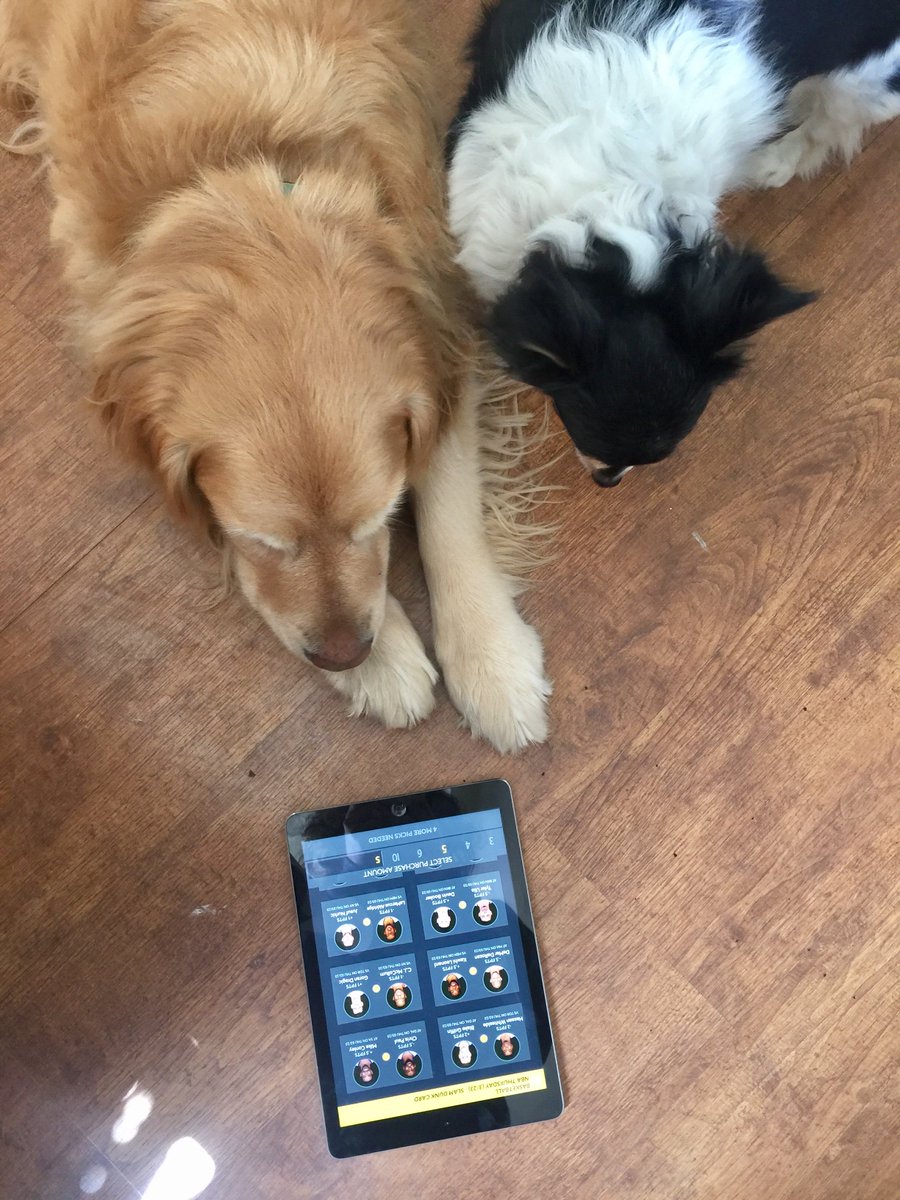 HotRoster's tweet photo. Everybody loves #HotRoster and anyone can play... take it from these two pups! #NationalPuppyDay #DFS #fantasybasketball #fantasyhockey https://t.co/rL1Pxk9nsA