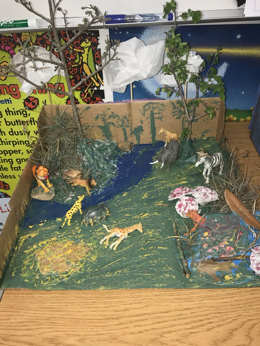 KelsieSueWarner's tweet photo. Amazing biomes the kids made!! #learning #science #HLEInspire https://t.co/UESSGvDS1M