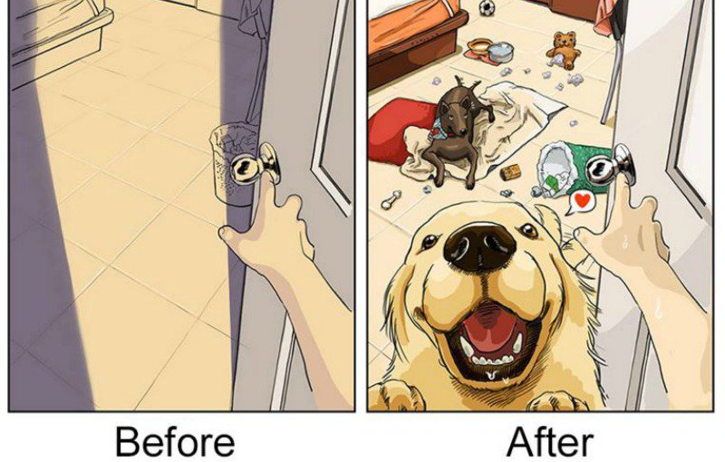 Life Before and After Getting a Dog ow.ly/ESDd30ack4L #NationalPuppyDay