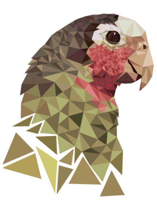 Start For Art on Twitter: Start For Art on Twitter: