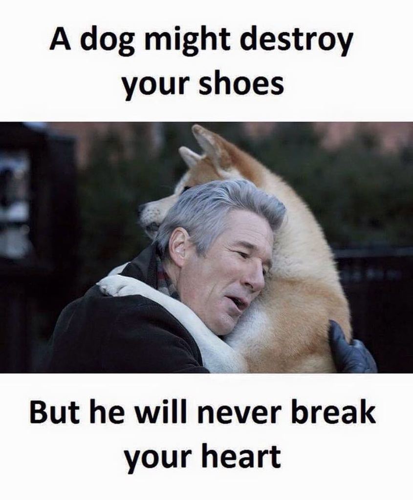 iglovedogs tweet picture
