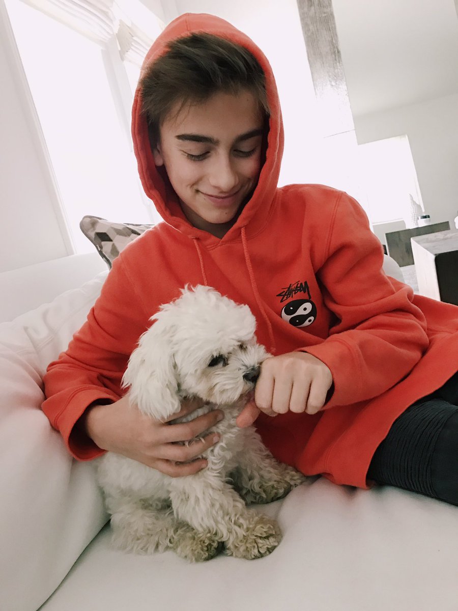 johnnyorlando's tweet photo. #NationalPuppyDay 🐶❤ https://t.co/whpB1HHF39