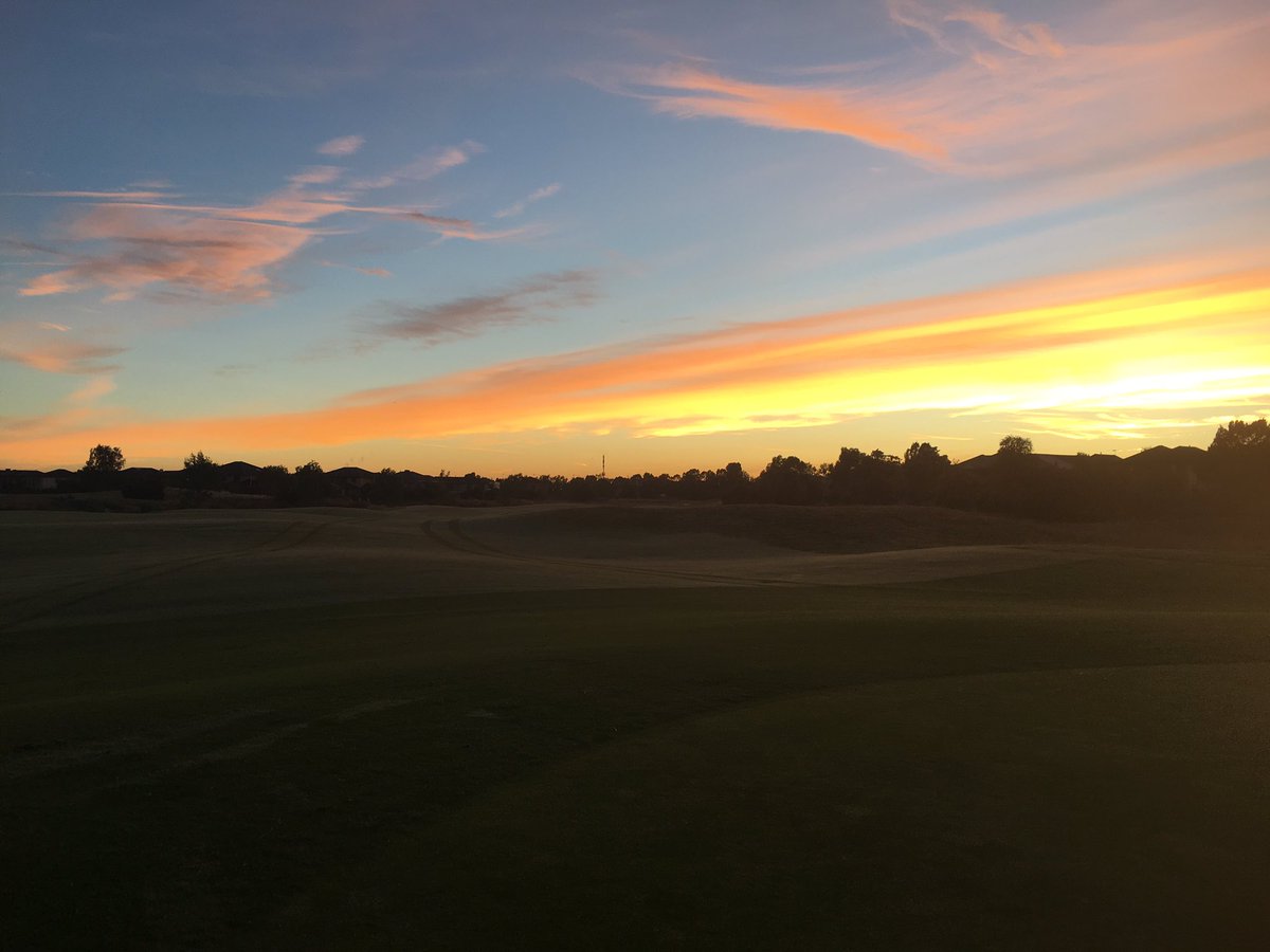 Jarryd King tweet media