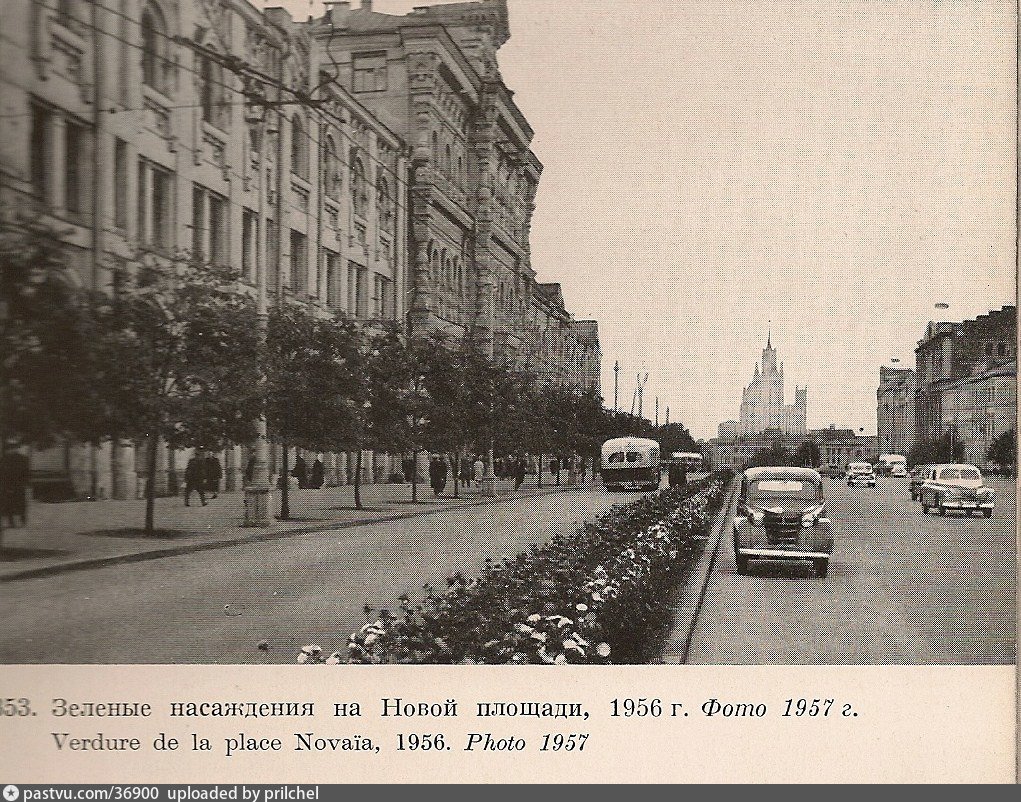 (image)
