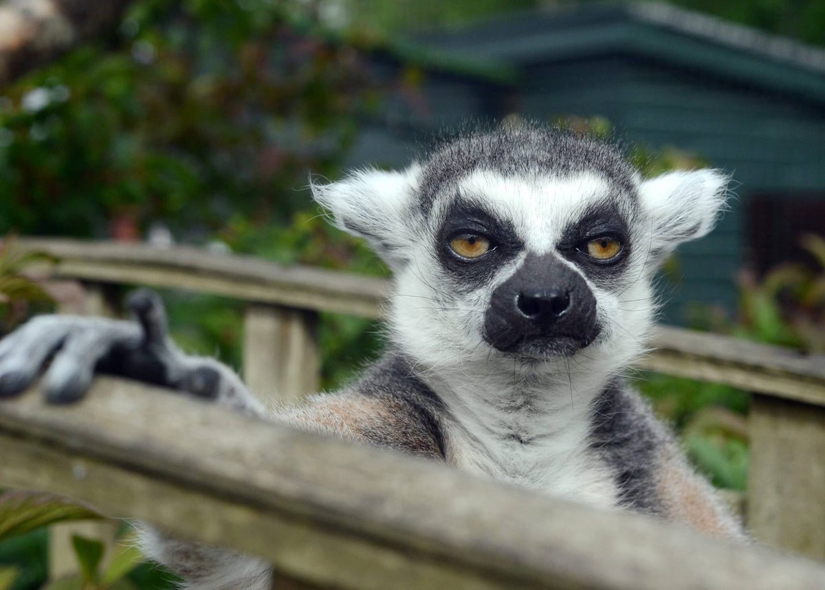 AmySmallmanWins's tweet photo. Sums up me watching the news. https://t.co/aUvV9QVG3w
