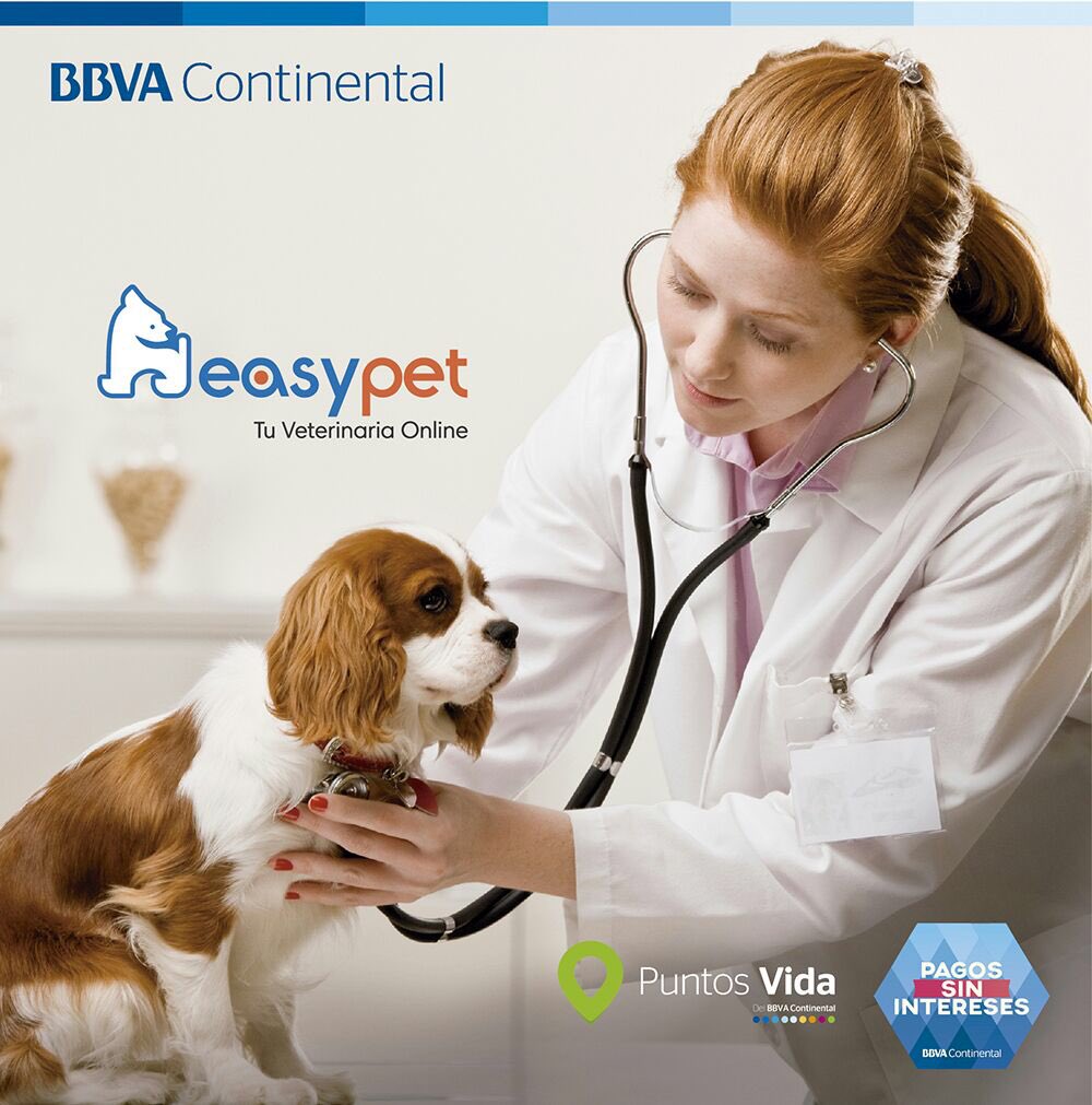 easypet_'s tweet photo. Gracias al @BBVAContinental ahora puedes adquirir tus productos con #PagoSinIntereses y acumular #PuntosVida https://t.co/5hJywGUqKz