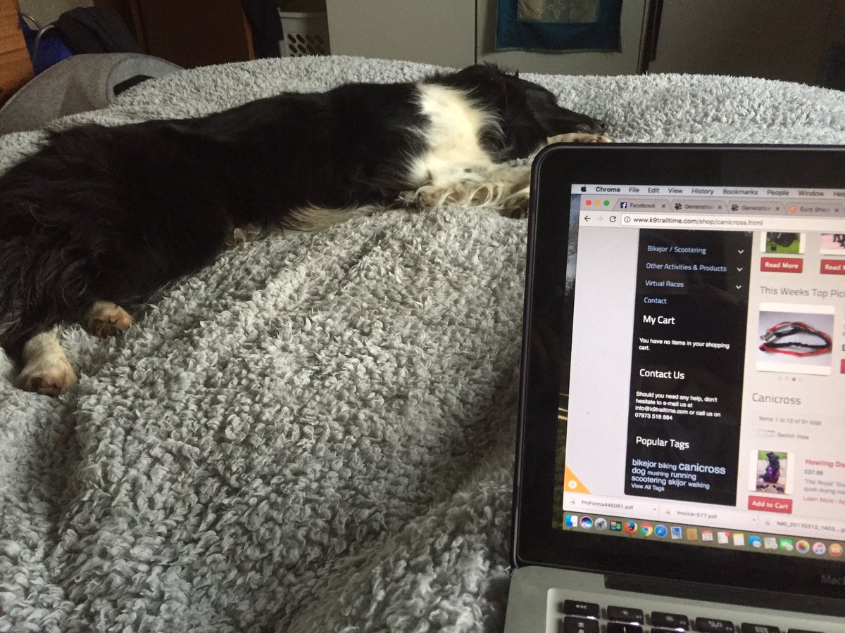 foreverfittime's tweet photo. Love working from home #BeYourOwnBoss #foreverfittime #livelifelovelife https://t.co/547TWVTQZ5